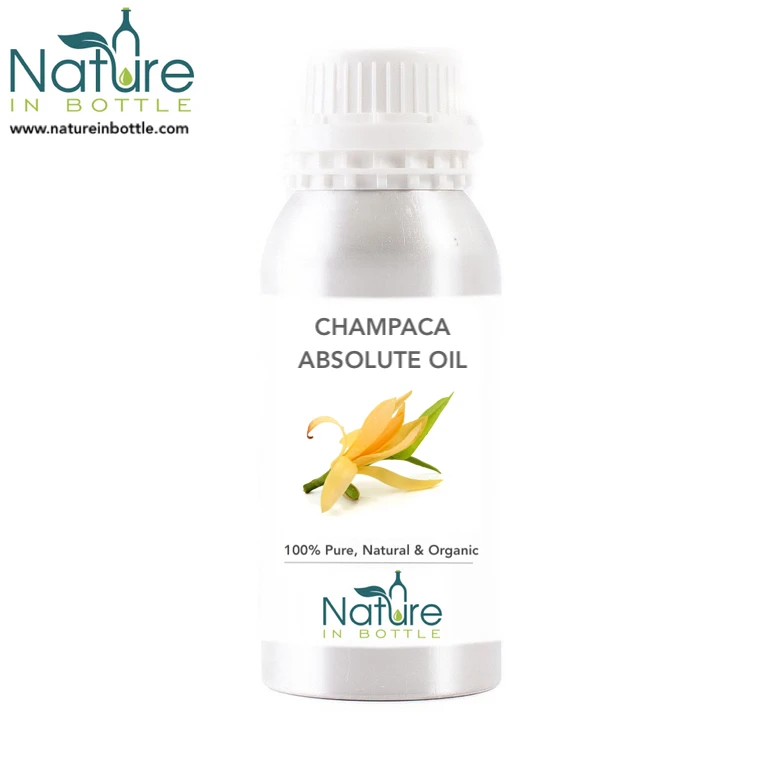 Magnolia Absolute Oil | Pure Red Champaca Absolute - 100% Organic and Natural Absolute Oils - Bulk Wholesale Price