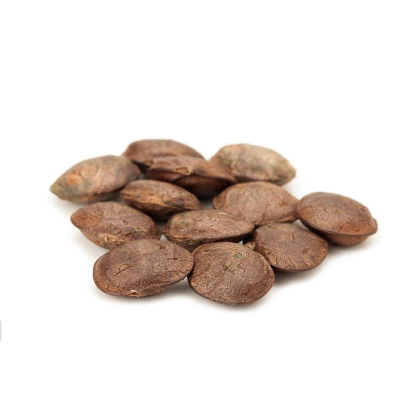 Sacha Inchi Seeds Wholesale - Inca Peanut - Peru Sacha Inchi