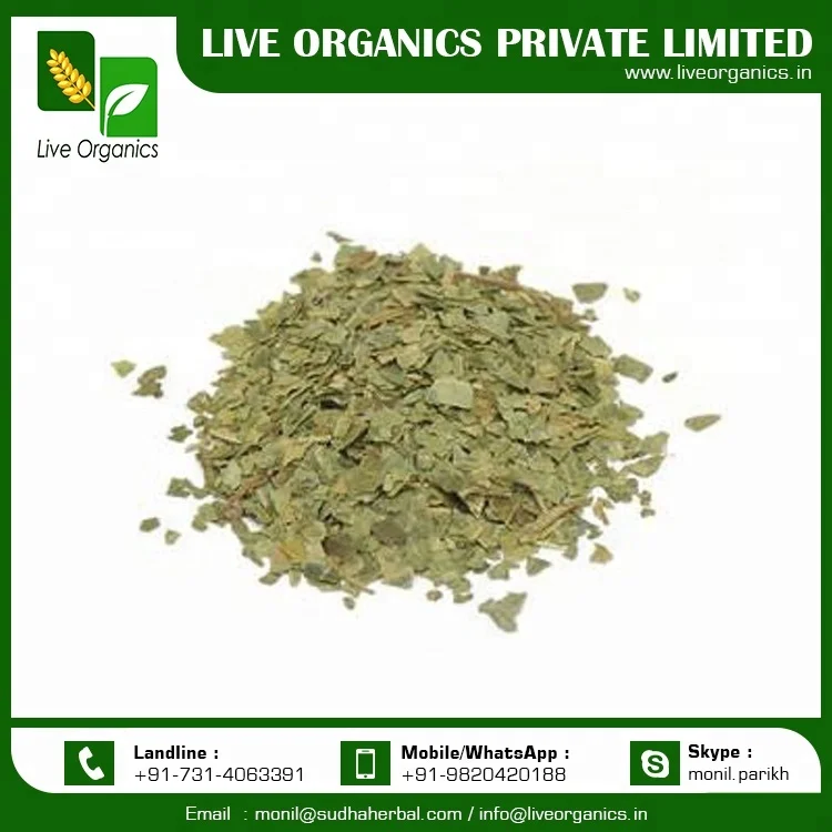 Organic Neem Leaf at Affordable Price