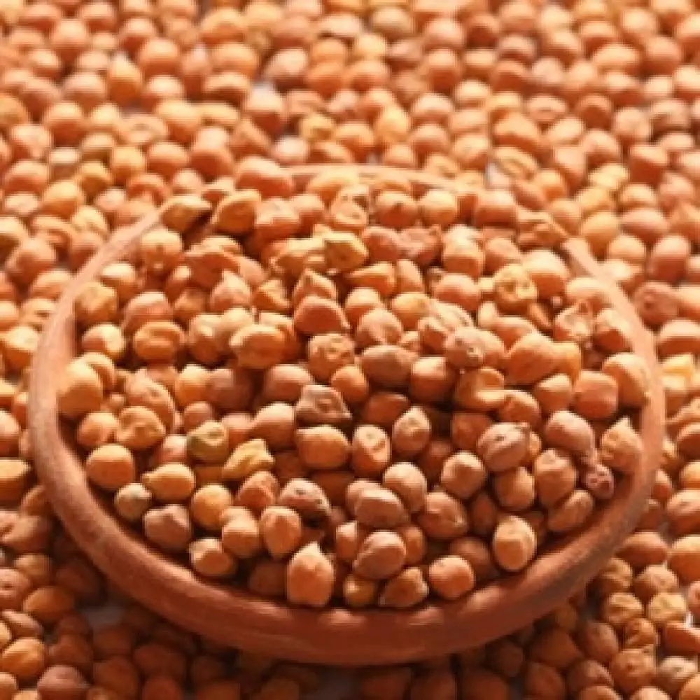 
CHANA FROM NIK-MAY EXPORTS LLP INDIA 