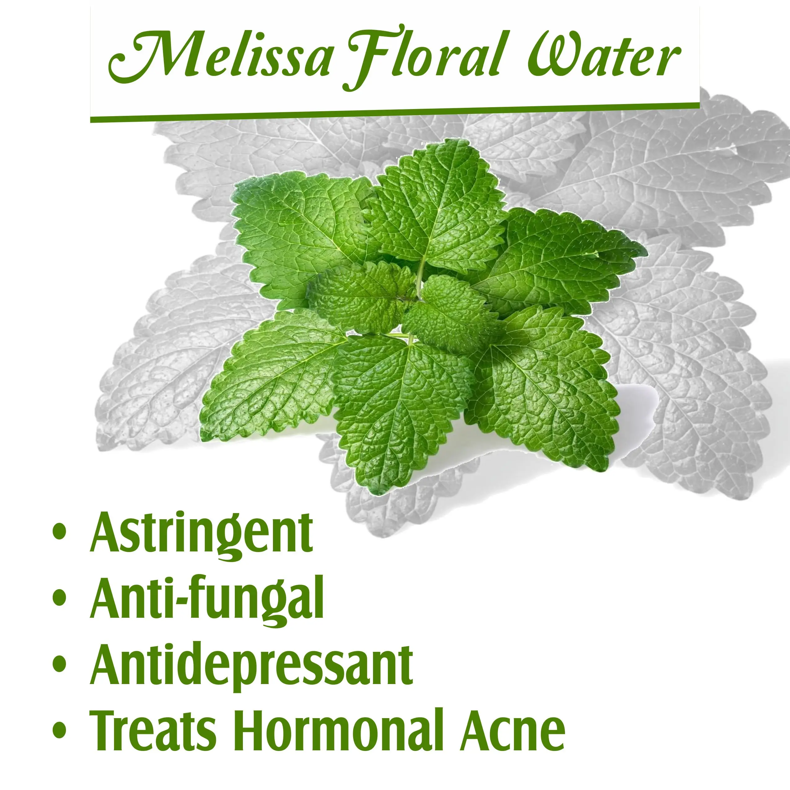 Melissa (Lemon Balm) Hydrosol 100% Pure and Natural