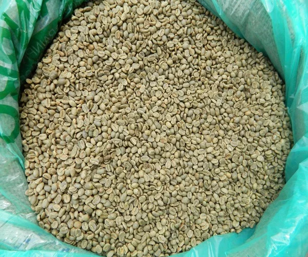 Зеленый кофе Арабика