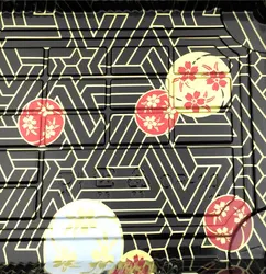 New Japanese style disposable Plastic color blister Sushi tray with Clear Lid