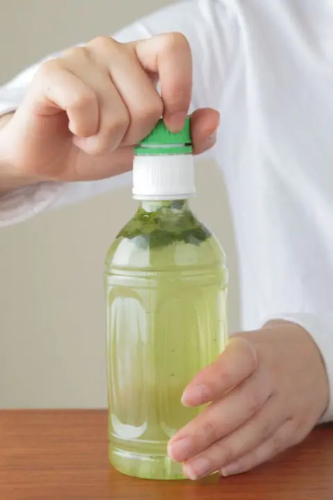 FURUFURE MATCHA, Uji Matcha from Kyoto in bottle, from Japan !