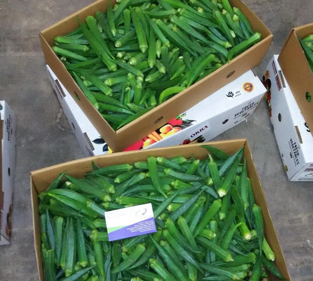 Organic Ladies Finger/Fresh Okra/Fresh Vegetables!