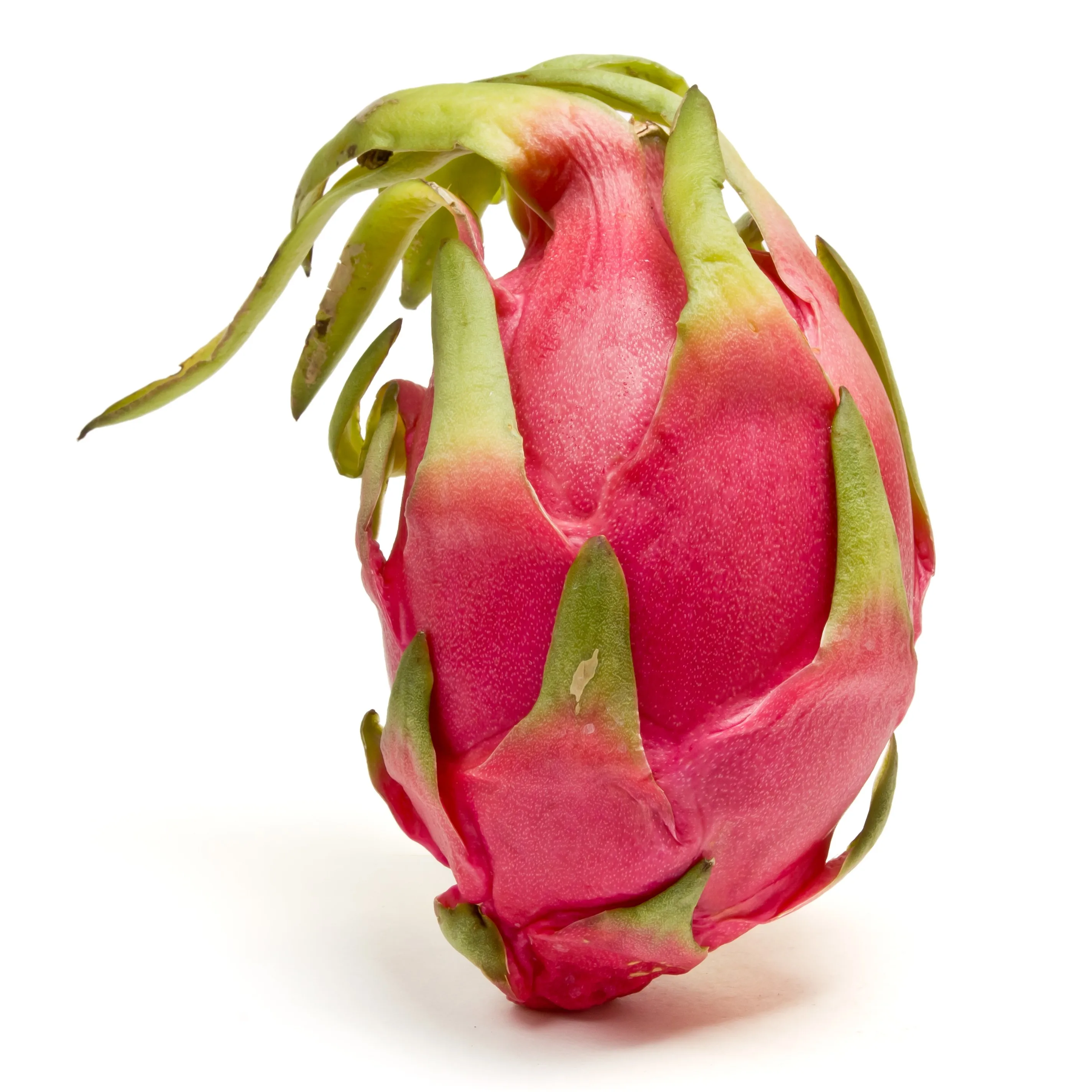 Vietnamese fresh dragon fruit/piyata with competitive price