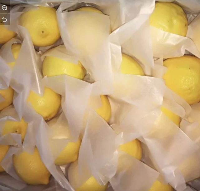 
South African Fresh Lemon 