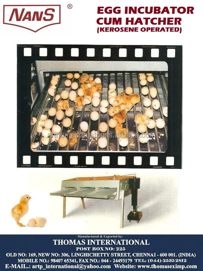 egg incubator kerosene operated