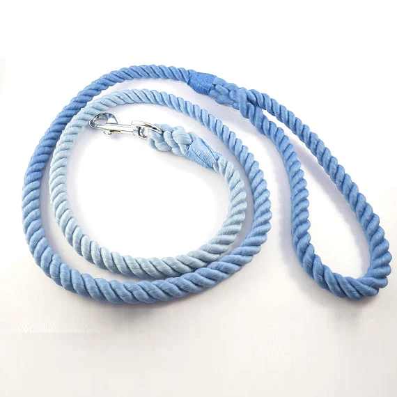Aqua Blue Retractable Dog Leashes