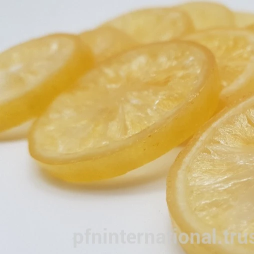 Premium quality Dehydrated Dried Lemon slices Thailand