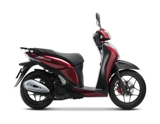 Fashion Gas Scooter manufactured in Vietnam
