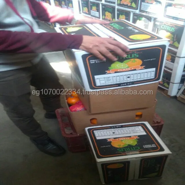 Fresh orange - Low Price - Finest quality - Egyptian origin