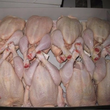 Halal Frozen Whole Chicken / Gizzards / Thighs / Feet / Paws / Drumsticks