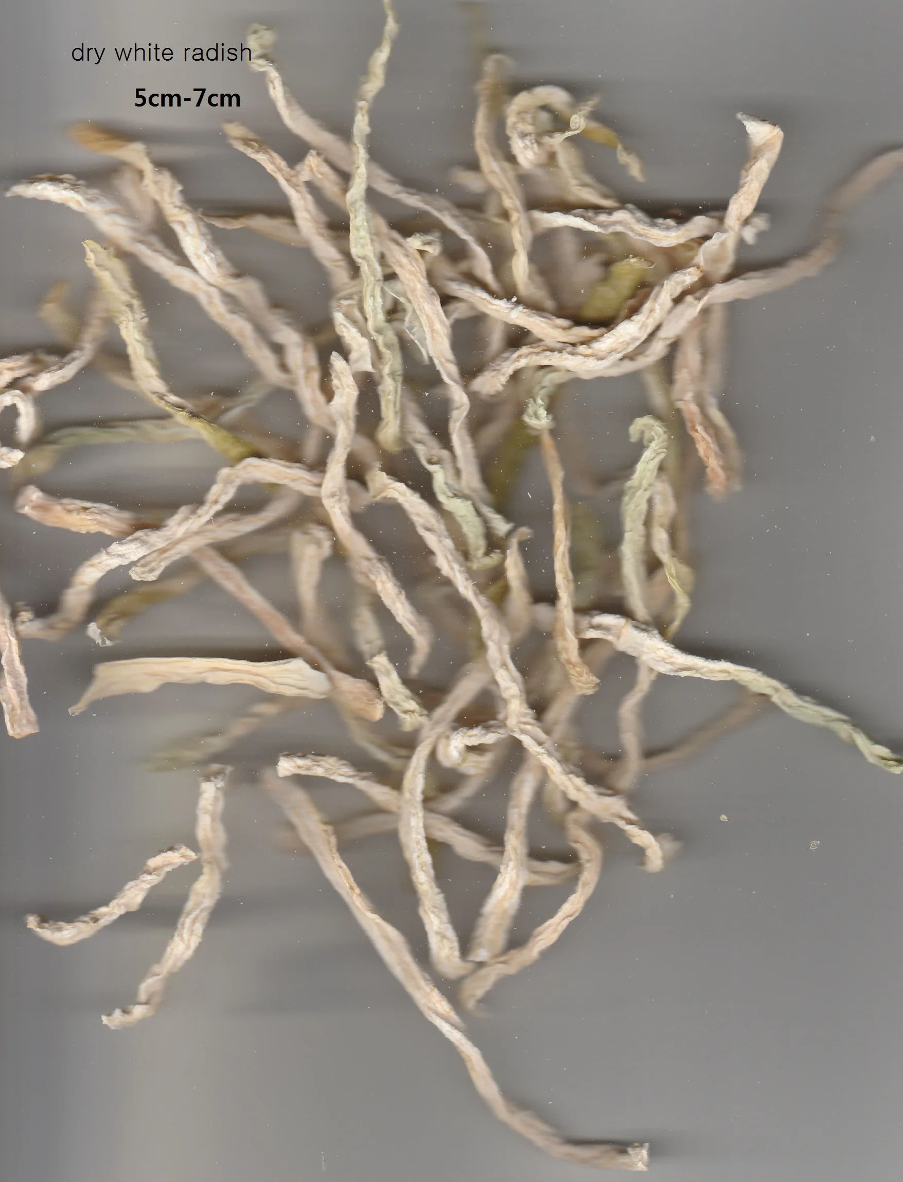 Air Dried Radish/ Sliced 7 - 9cm High Quality  Dehydrated White Radish