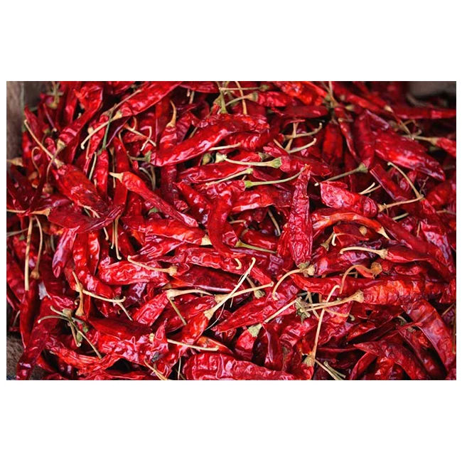 Factory Supply Natural Organic Vietnam Red Chilli in Market Price Best Exporter from India