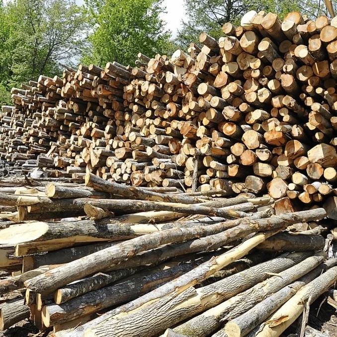 
 Древесина из твердой древесины/ясеня/дуба/березы/альдеров  