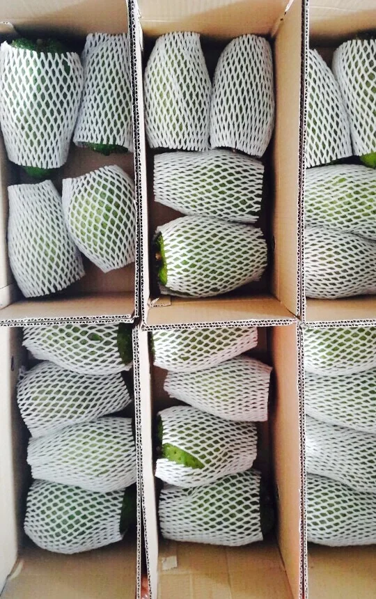 Fresh graviola- soursop- fruit from Vietnam 2021/ Whatsapp +84 845 639 639