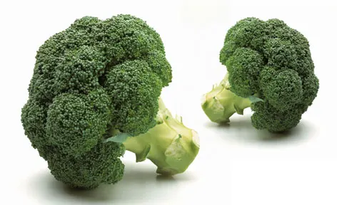 Top Grade Quality Bulk Conventional Broccoli Seed Oil Bulk Natural Vegetable Carrier Oils Producer