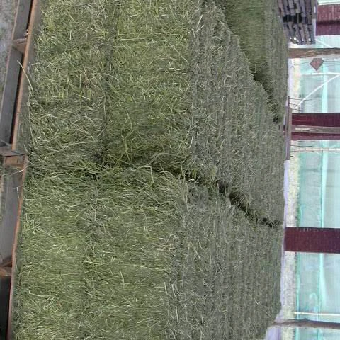 
Alfalfa Hay,Timothy Hay 