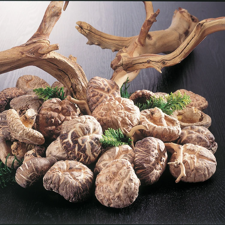
Japan Oita dried food Brown fresh bulk dried shiitake mushrooms sale 