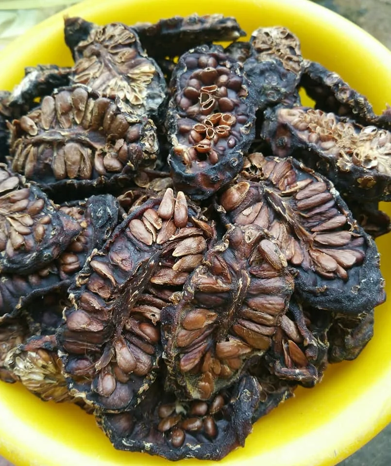 100% натуральный сушеный фруктовый растительный лекарственный экстракт нони