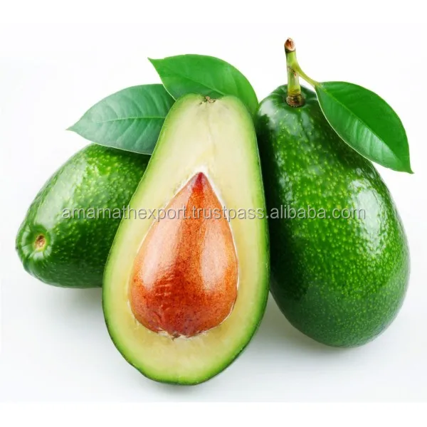 Buy Best Quality Natural Pure Avocado Oil From Indian Manufacturers