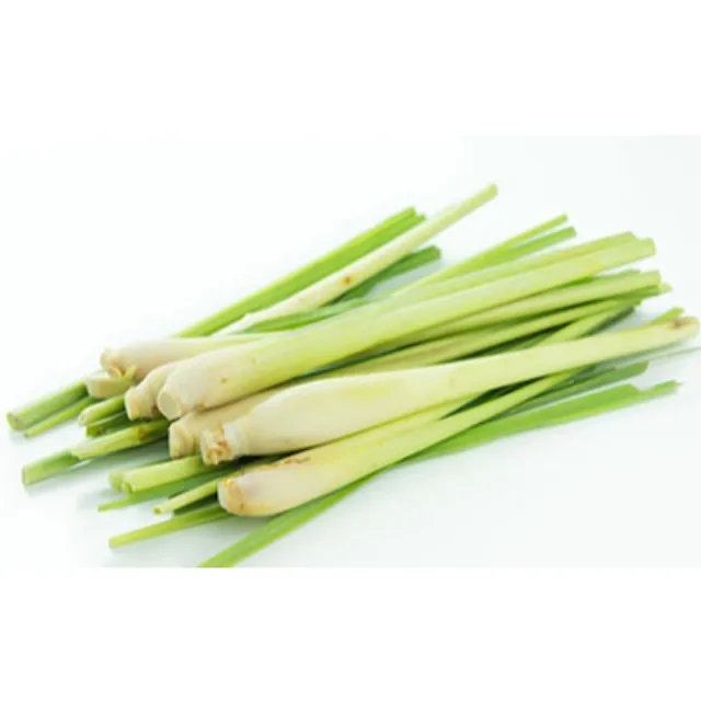 Лучшая цена с драгоценным качеством, 100% свежее и натуральное эфирное масло цитронеллы