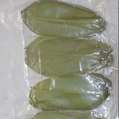 
Dried Soursop Leaves / Graviola Leaf - Organic Herb - Product of Vietnam 