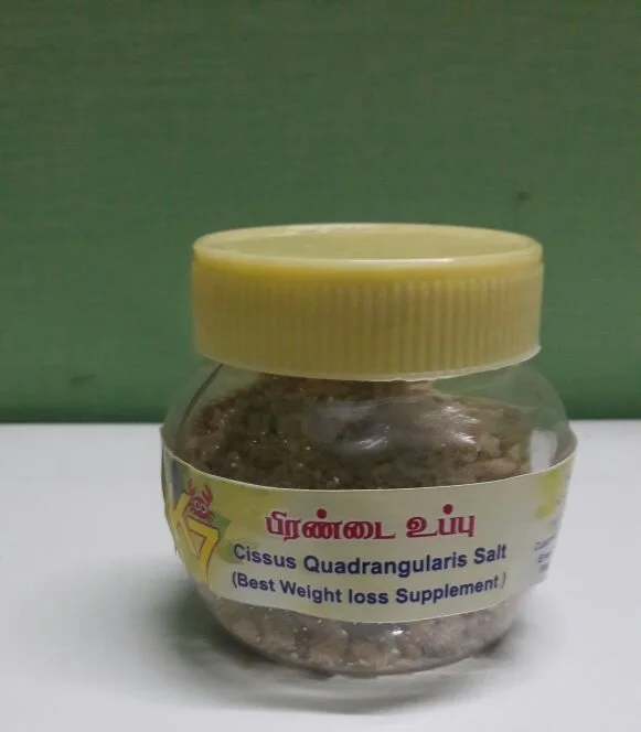 
PIRANDAI SALT - (Adamant creeper) - Cissus quadrangularis 