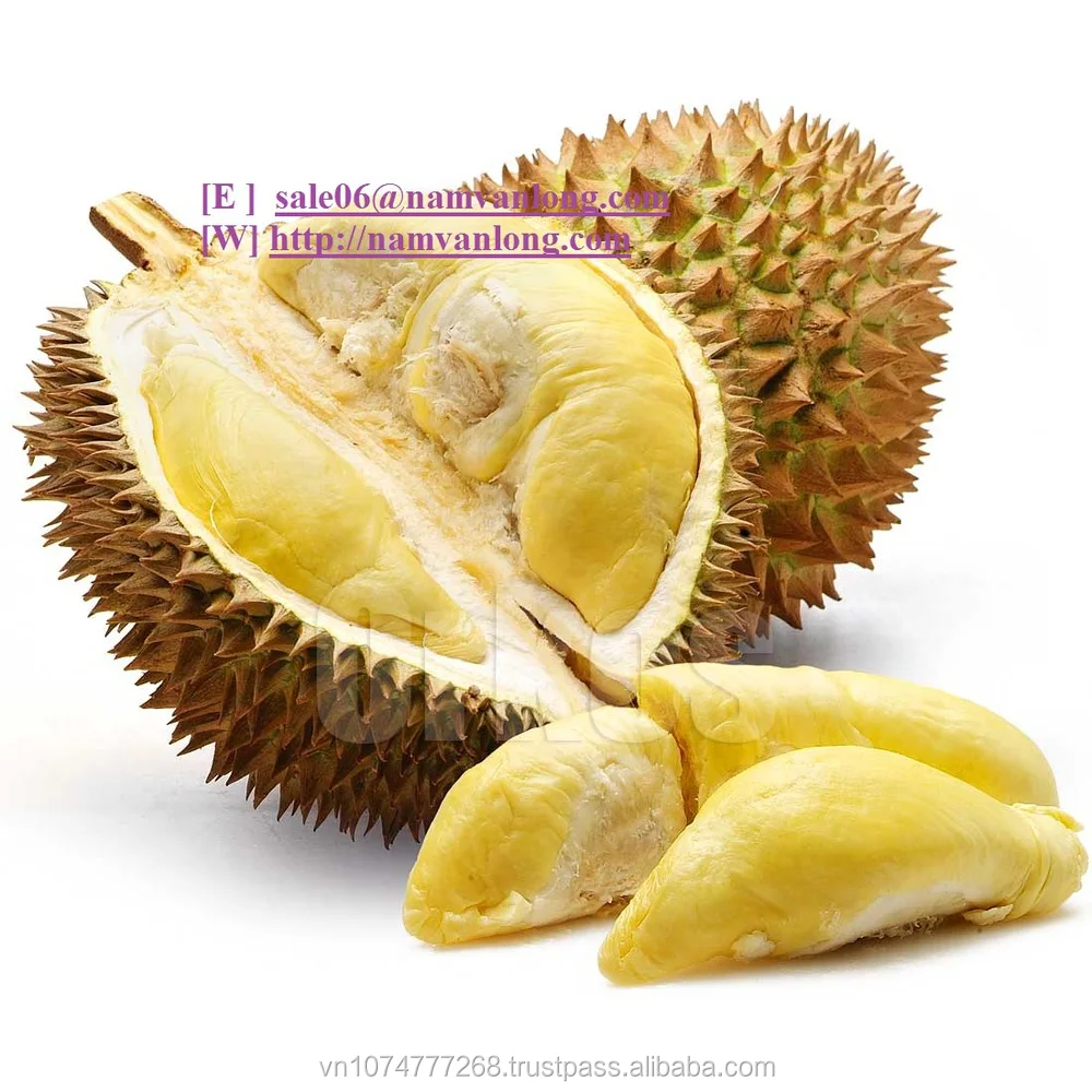 TOP EXPORT PRODUCT! GOOD DURIAN FRUIT WITH HIGH QUALITY AND BEST PRICE