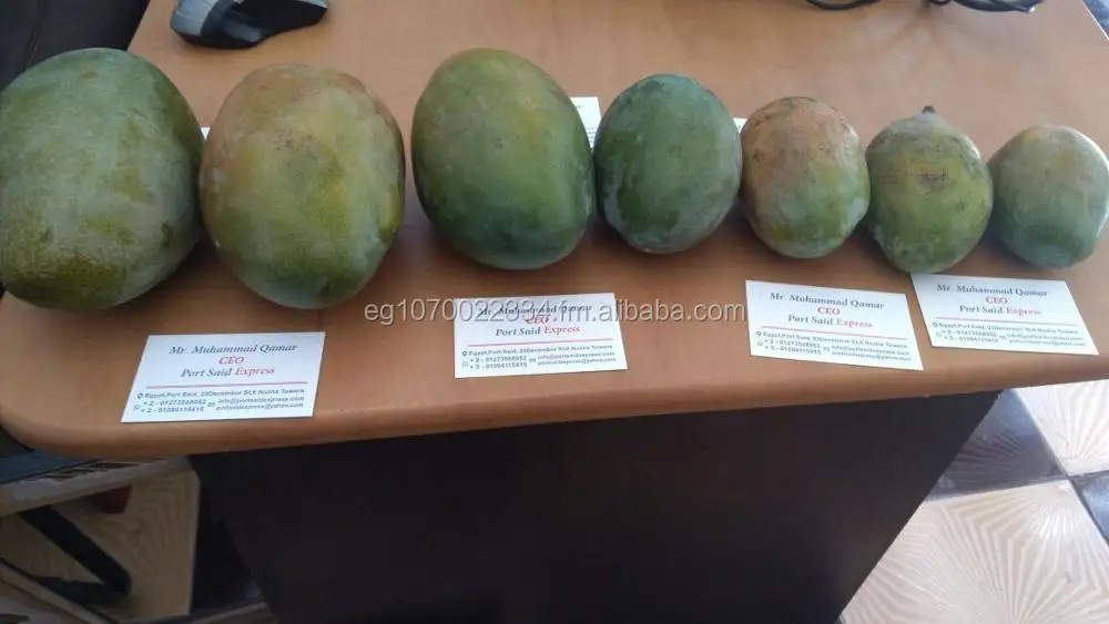 fresh mango ready export to Vietnam