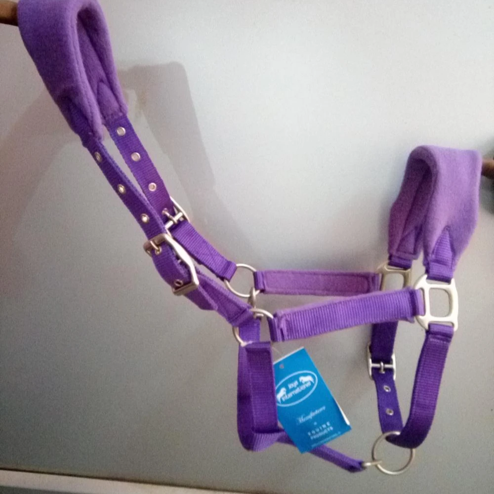 Pony horse halter