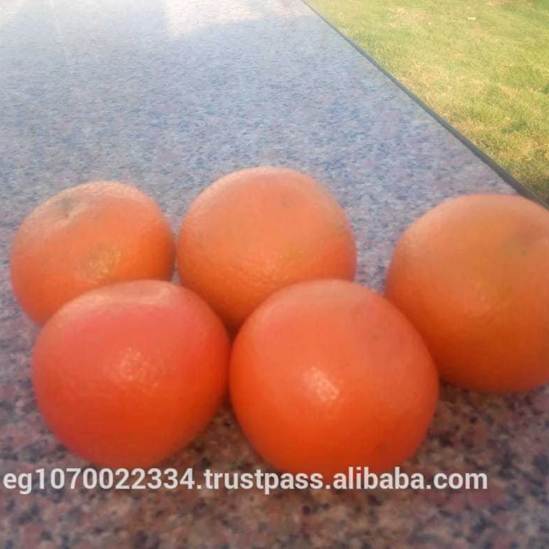 mandarin orange fruit for Congo, Democratic Republic of (DRC) market   speed shipping
