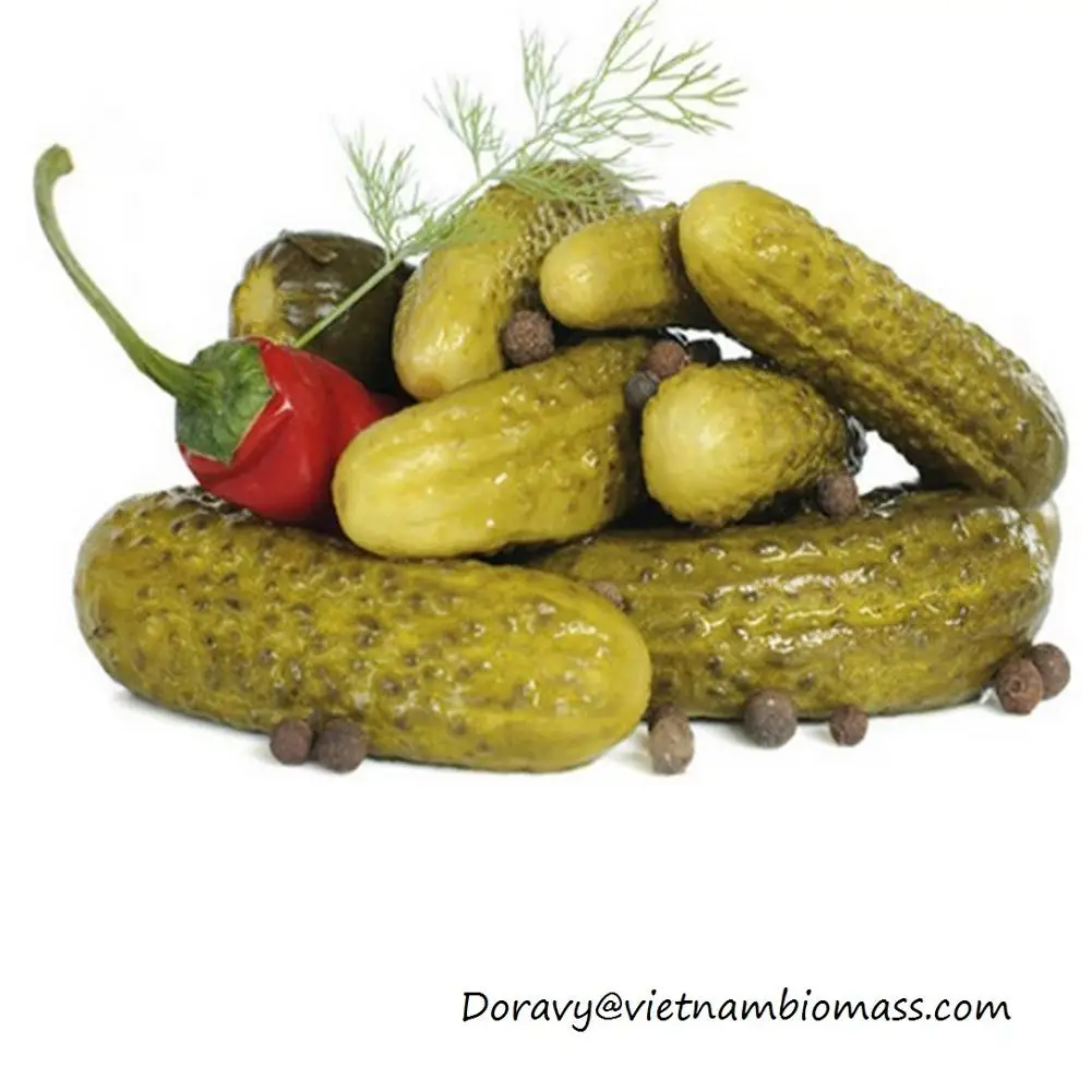 
LACTO FERMENTED PICKLES/ CANNED DILL PICKLE RECIPE/ HEALTHY PICKLES 