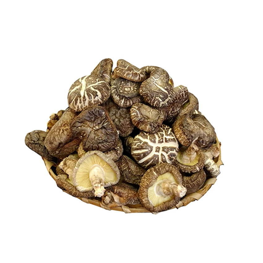
japanese food wasyoku dietary fiber longevity umami cultivated raw organic shiitake mushroom dried 