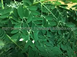Natural Moringa powder from India  - Whatsapp :+91 73580 94554