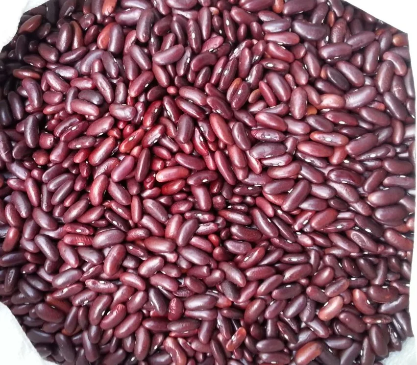 Red Kidney Beans