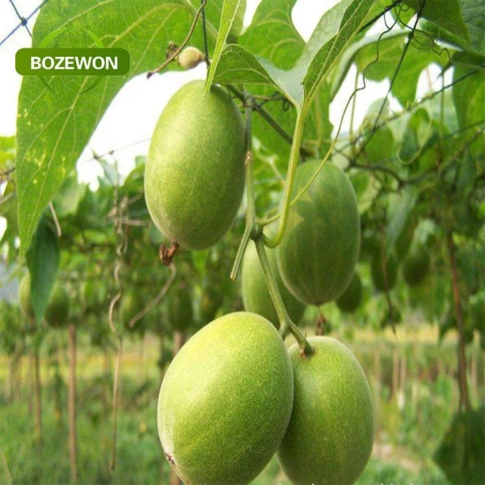 High quality organic Luo Han Guo Extract powder