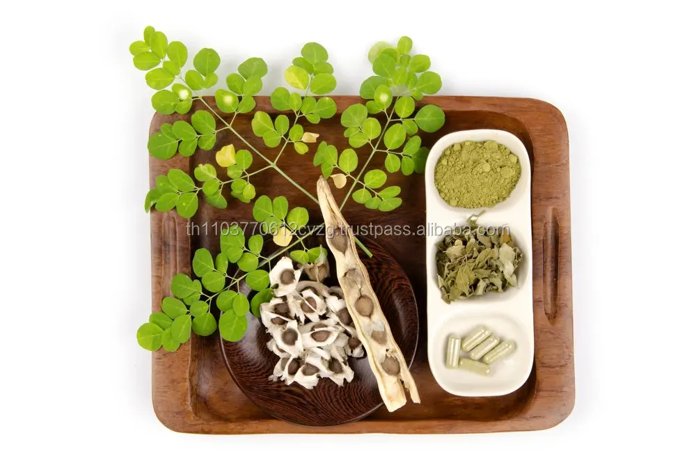 
Dried, Powder, Oil moringa 100% Natural Product of Thailand 