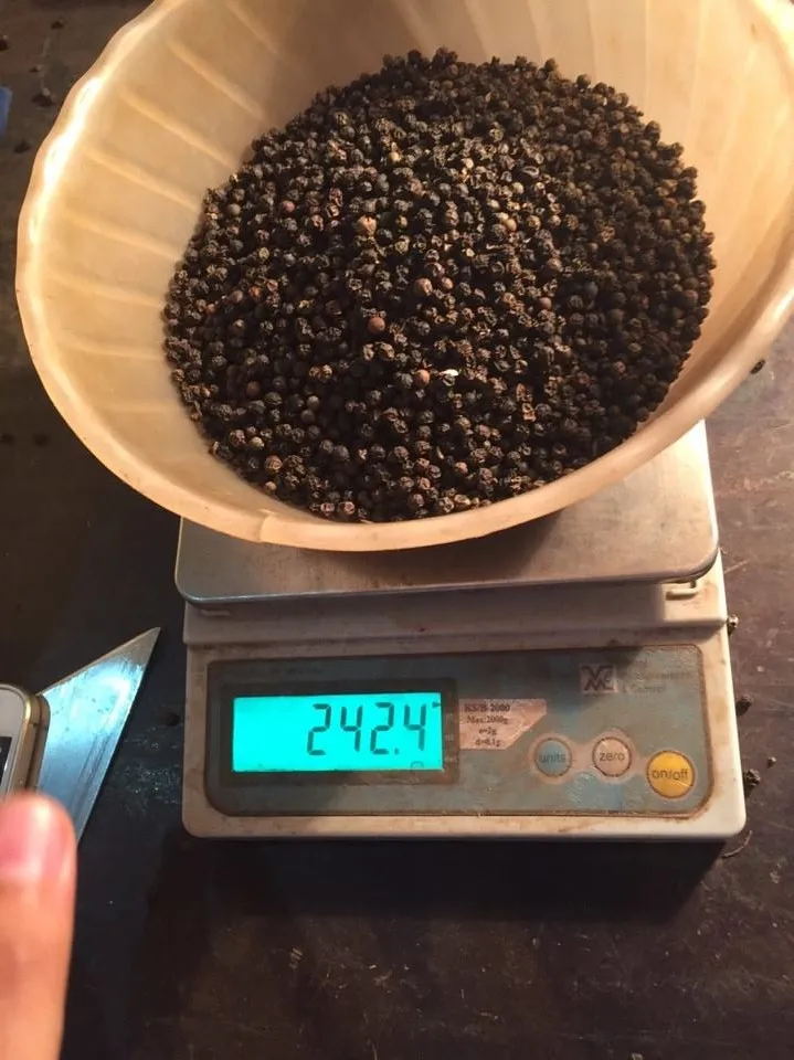 CLEAN PEPPER Manufacturer in Vietnam - Song Hy Gia Lai Co., Ltd