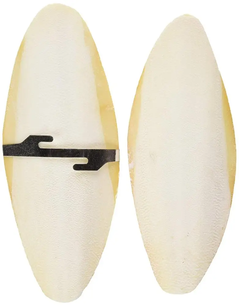 
Cuttlefish Bone/ in Bulk/ Dried/ For Bird and Animal with High Quality!! 