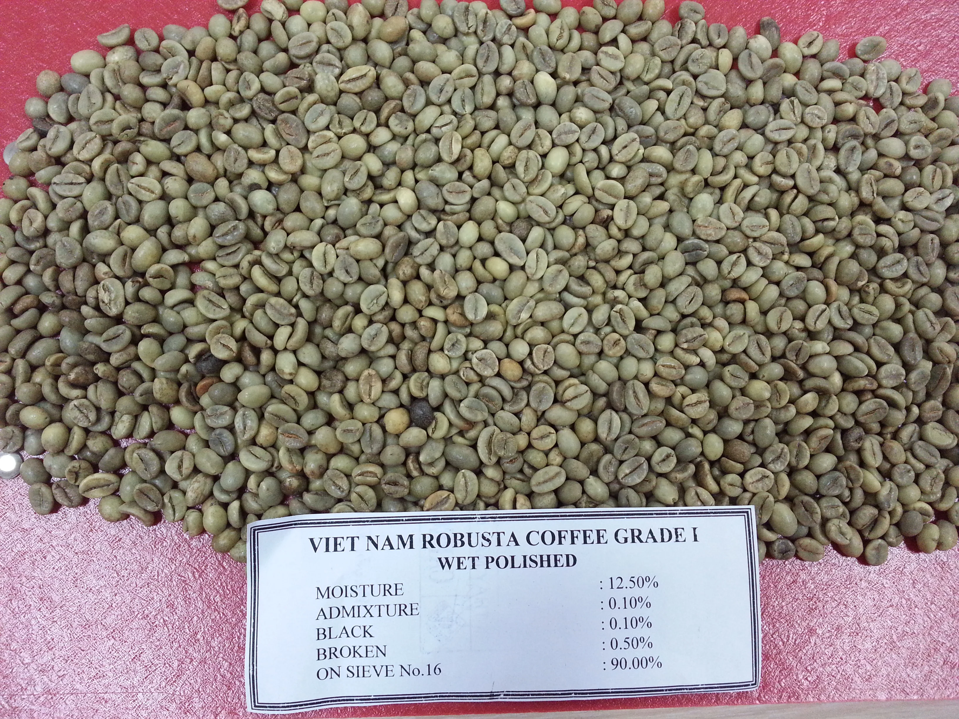 
VIETNAM ROBUSTA COFFEE BEAN SCR 13, 16, 18 (Mob/ whatsapp/ viber: 0084 989322607) 