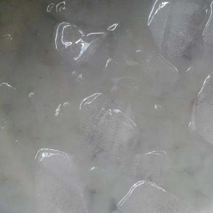 Fresh ALOE VERA in sugar water