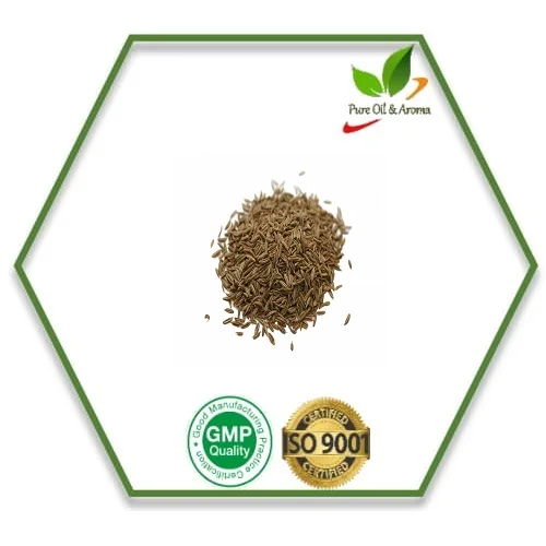 Cosmetic Grade Factory Wholesale Oil Parsley Seed Oil