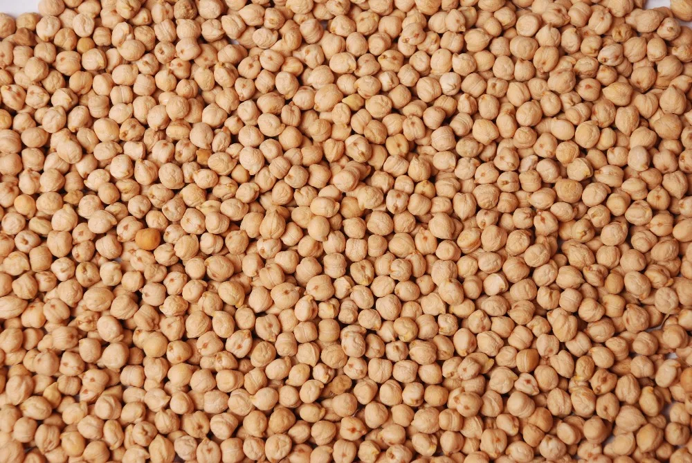DESI CHICKPEAS 7mm 9mm / CHICKPEAS