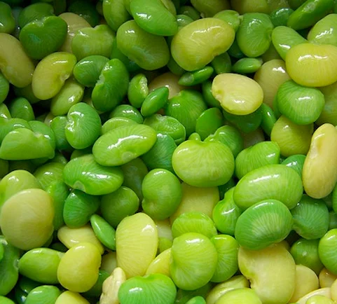 
Large Lima Beans 