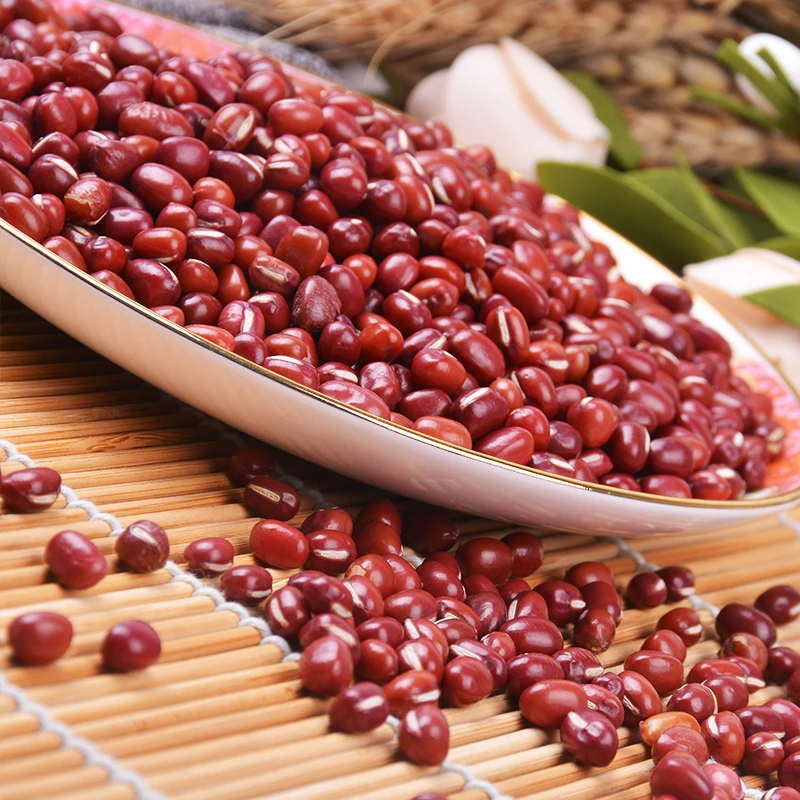 
High Quality New Crop 5.0mm up Small Dried Red Mung Bean 