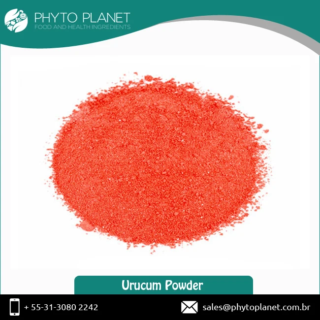 Пудра запукум