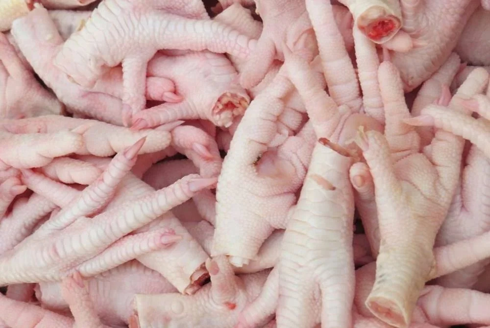 
Top Quality Frozen Chicken feet 