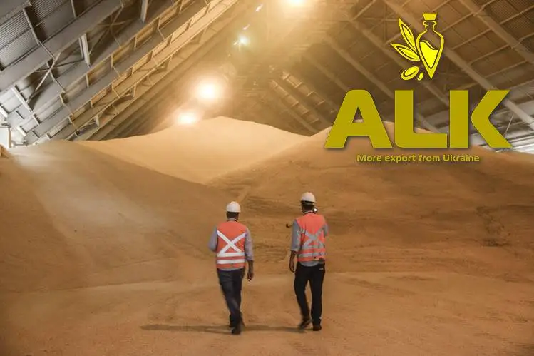 Ukranian-Лидер продаж желтый Кукуруза без ГМО